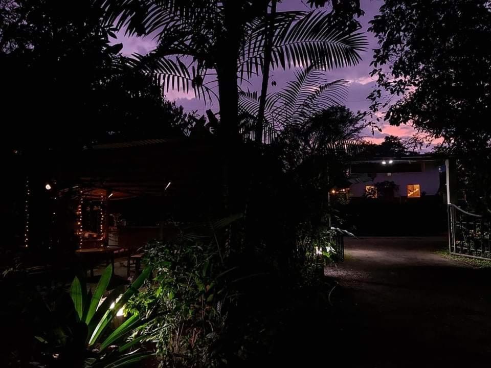 Villa Eden Treehouse à Mindo Extérieur photo