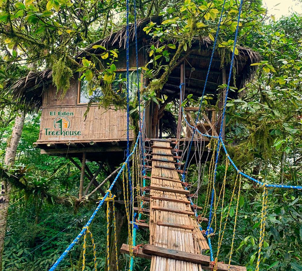 Villa Eden Treehouse à Mindo Extérieur photo